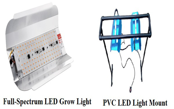Figure 4: