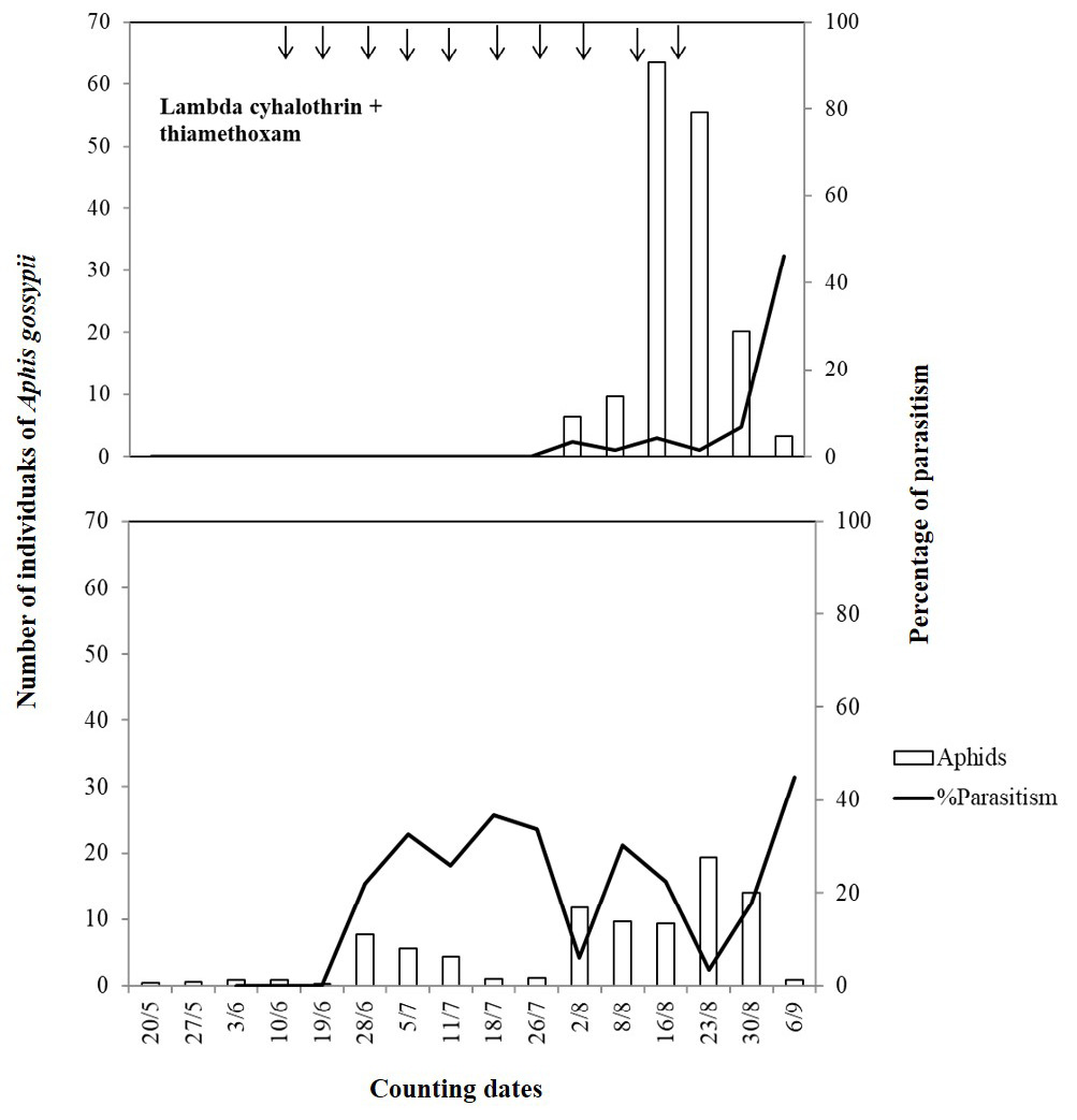 Figure 3: