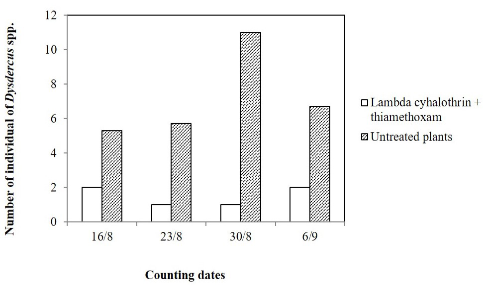 Figure 6: