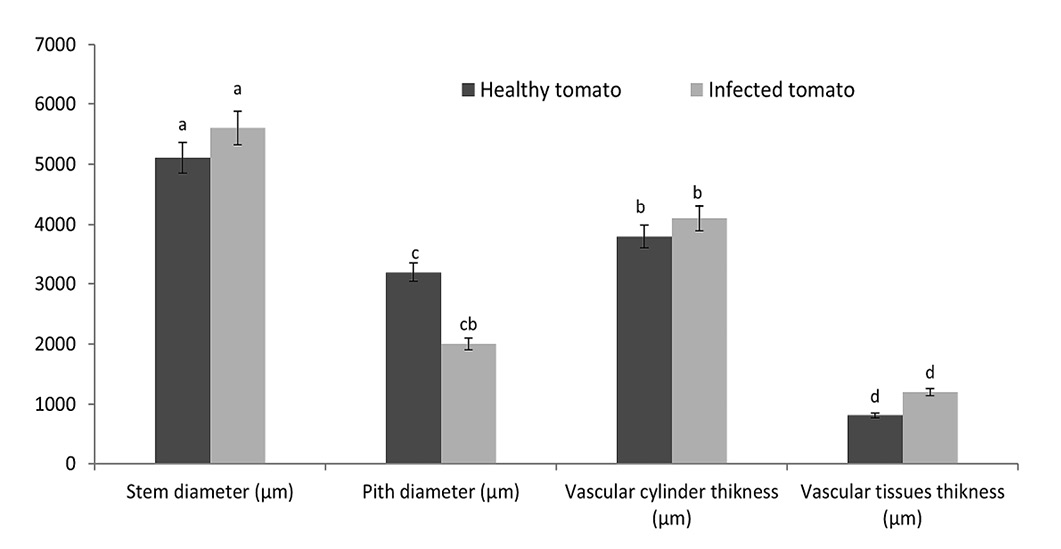 Figure 5: