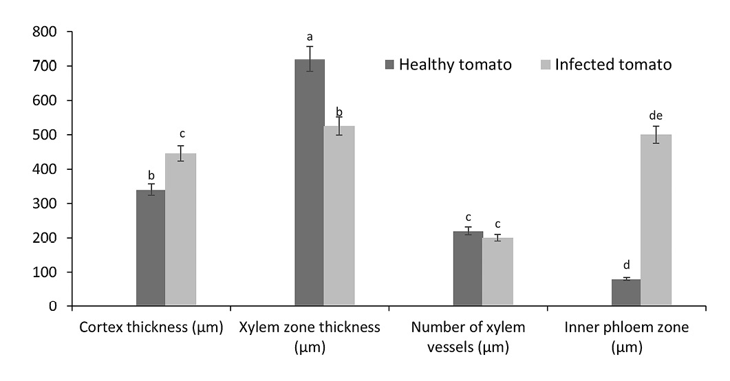 Figure 6: