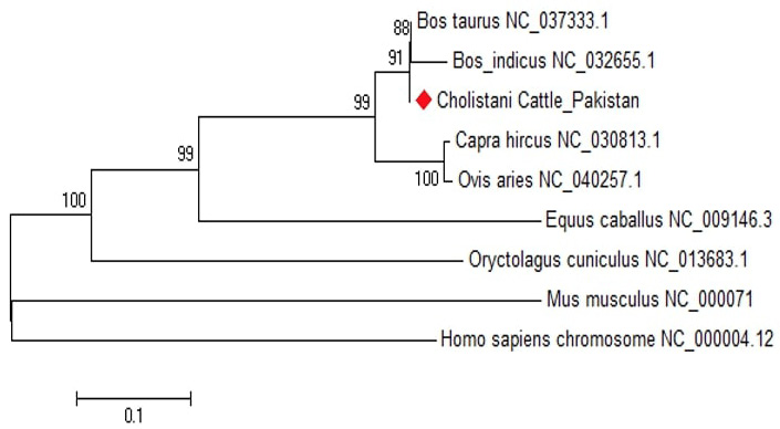 Fig. 3.