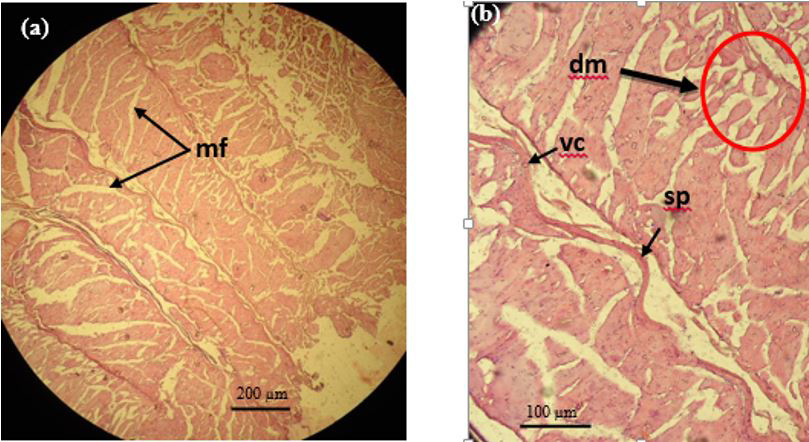 Figure 5: