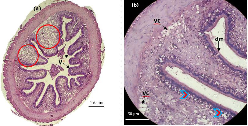 Figure 12: