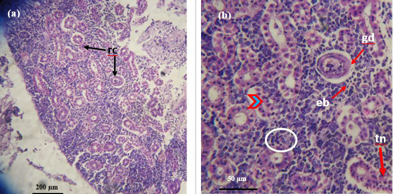 Figure 9: