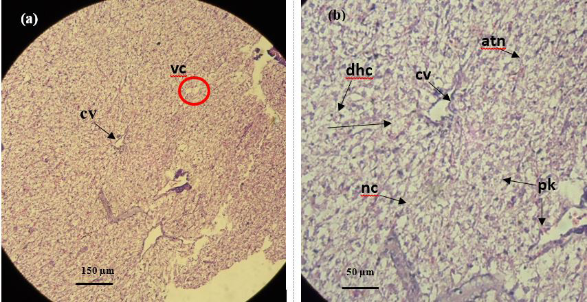 Figure 7: