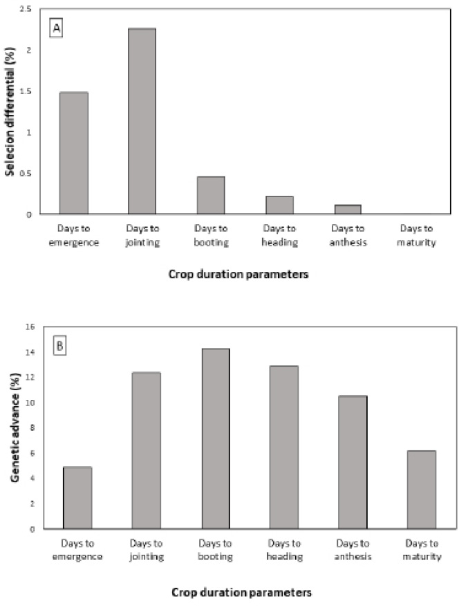 Figure 4: