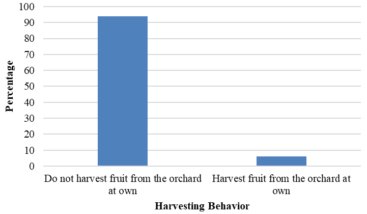 Figure 5: