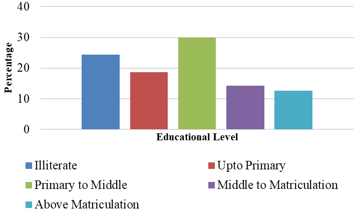 Figure 3: