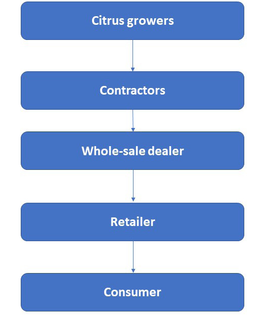 Figure 7: