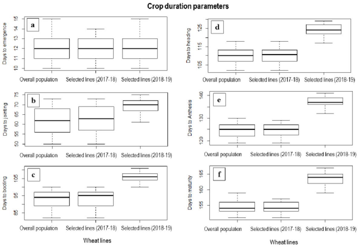 Figure 3: