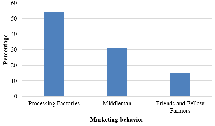 Figure 6:
