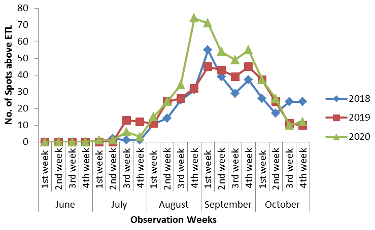 Figure 4: