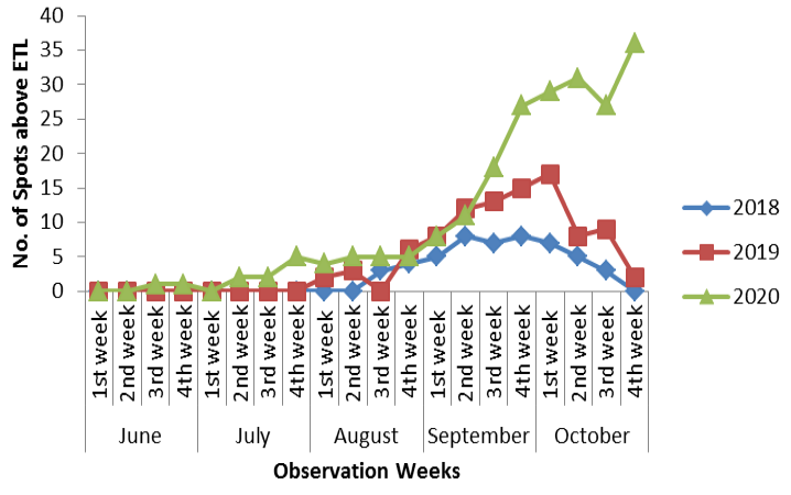 Figure 5: