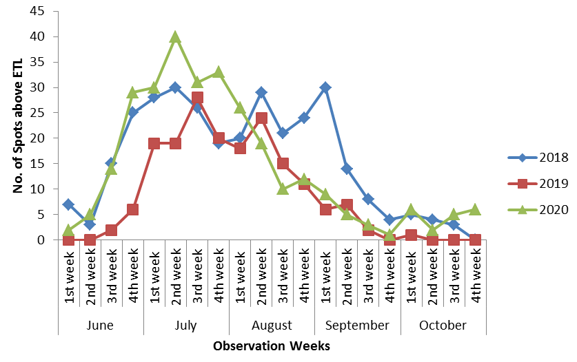 Figure 2: