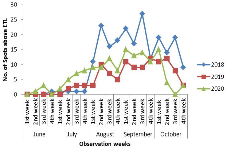 Figure 6: