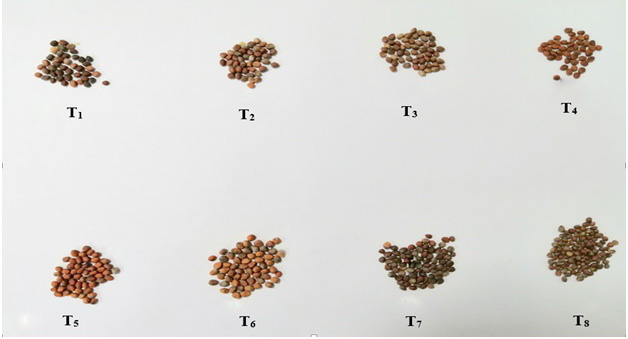 Figure 3: