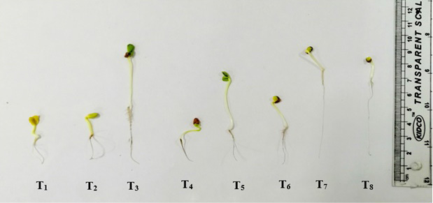 Figure 4: