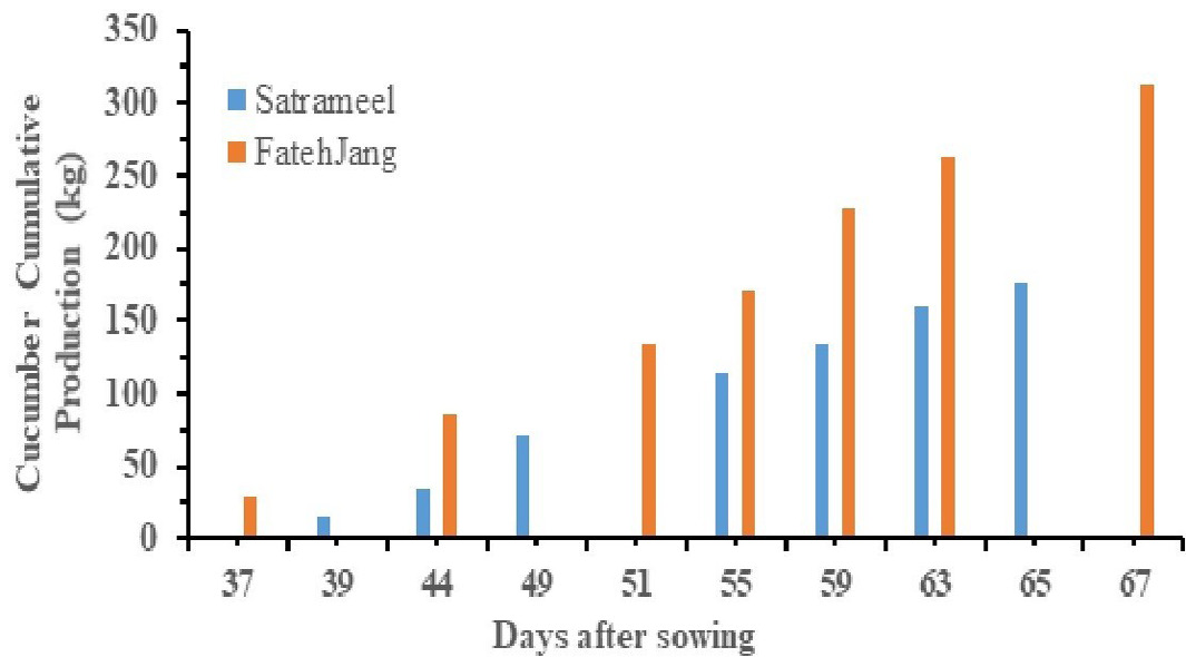 Figure 5: