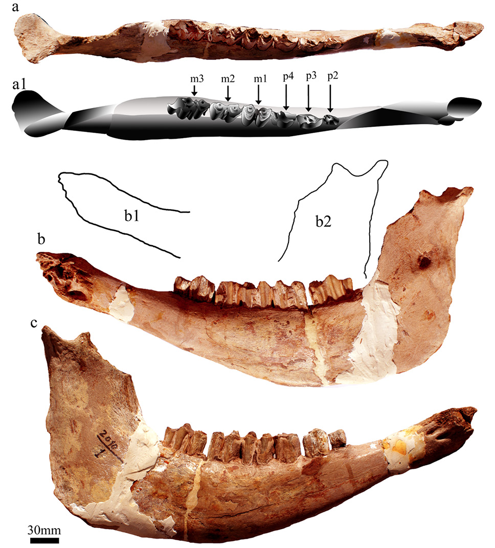 Fig. 3.