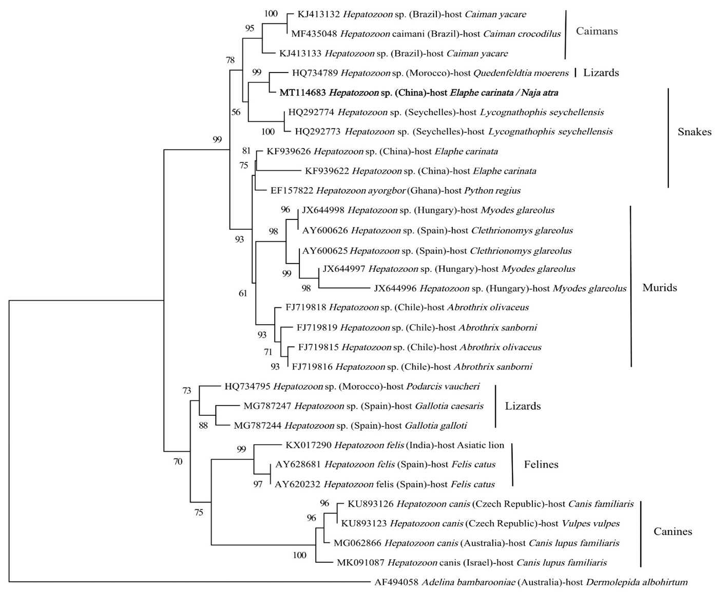 Fig. 2.