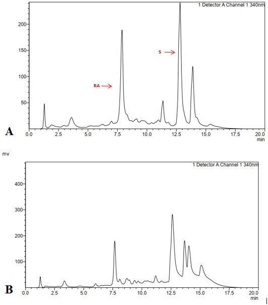 Figure 6: