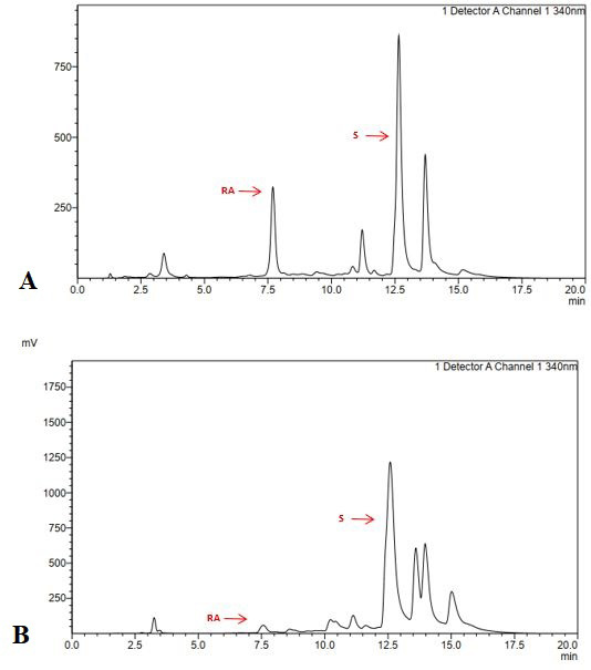 Figure 7: