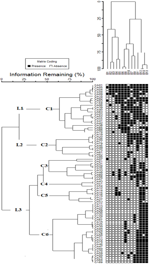 Figure 2: