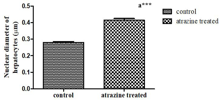 Figure 9: