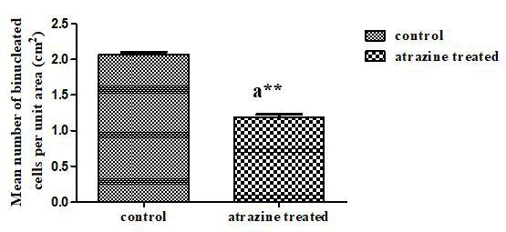 Figure 6: