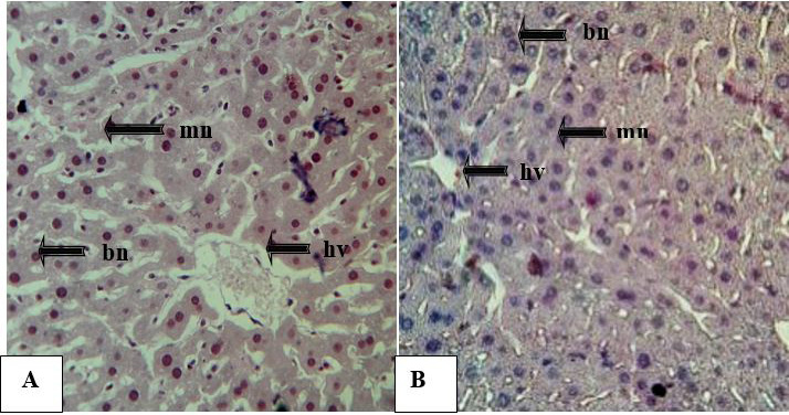 Figure 2: