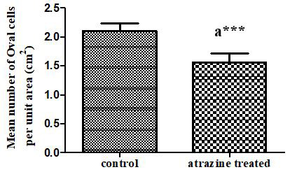 Figure 7: