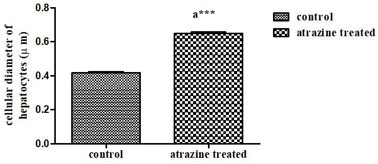 Figure 8: