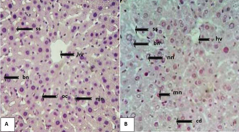 Figure 1: