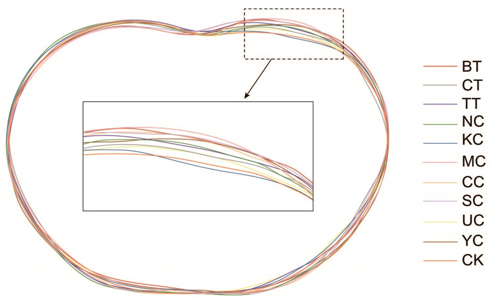 Fig. 5.