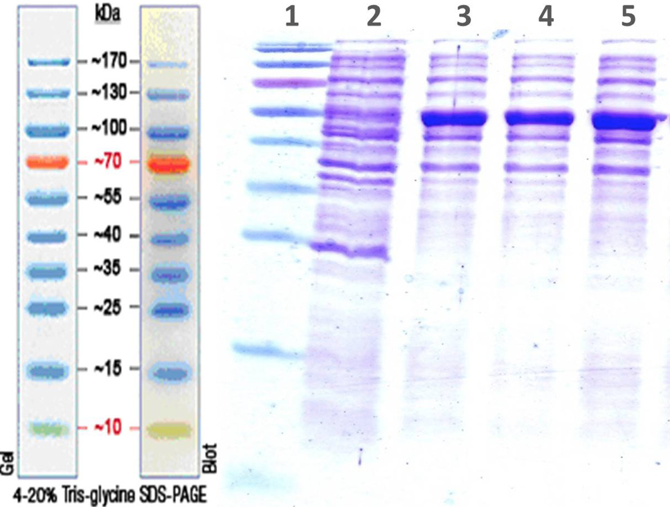 Fig. 2.