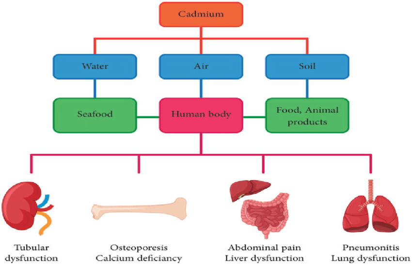 Figure 3: