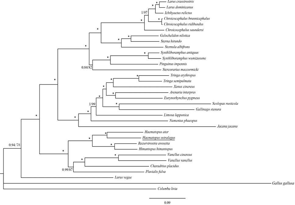 Fig. 3.