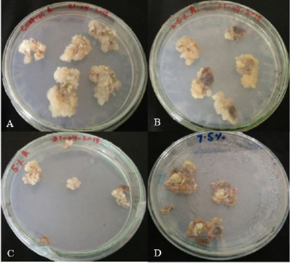 Figure 2: