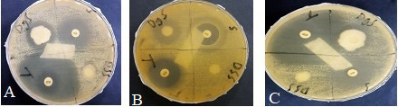 Figure 3: