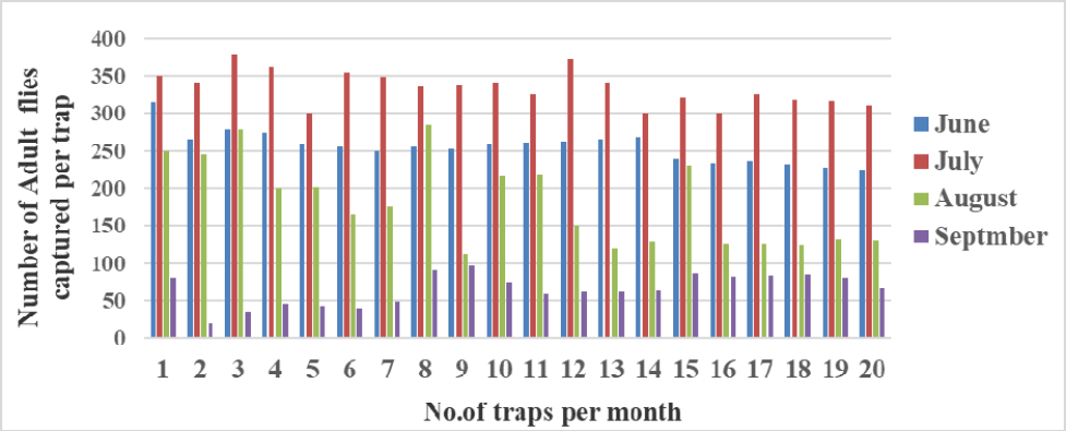 Figure 3: