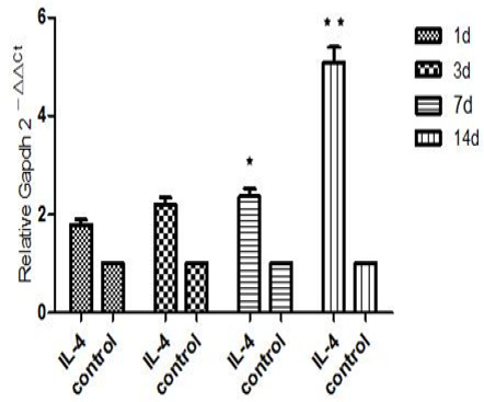 Fig. 9.