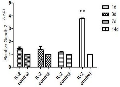 Fig. 8.