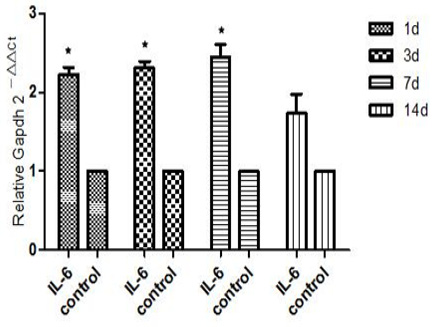 Fig. 10.