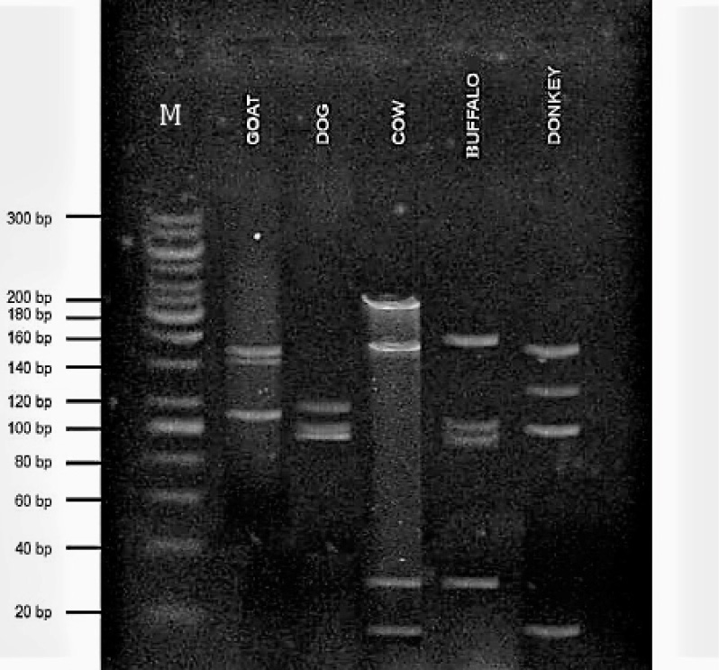 Figure 3: