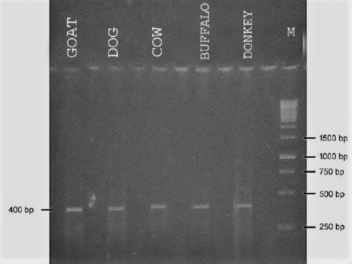 Figure 2: