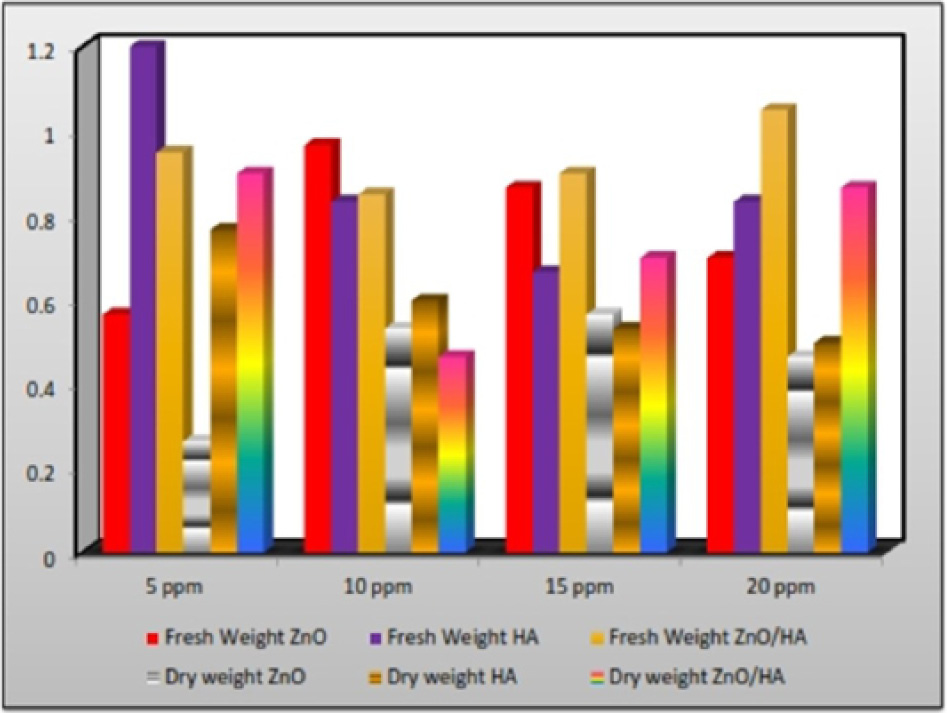 Figure 7: