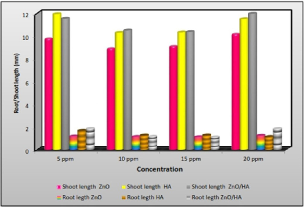 Figure 6: