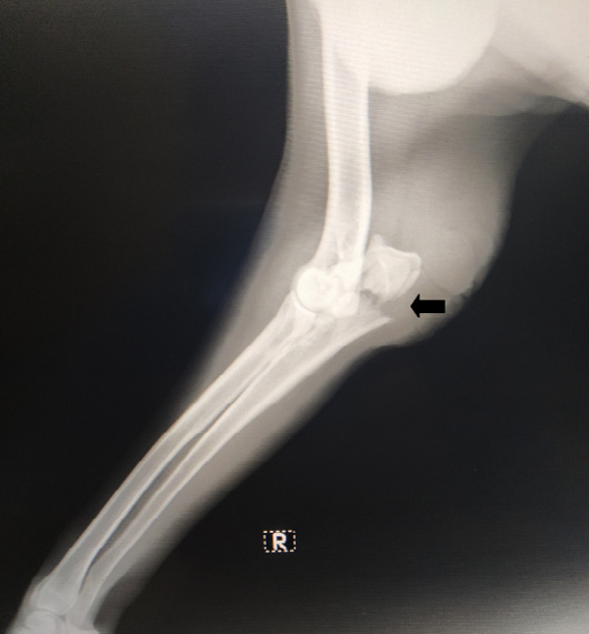 Figure 2: