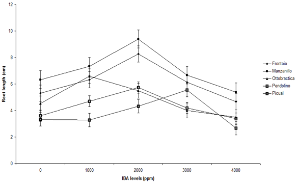 Figure 4: